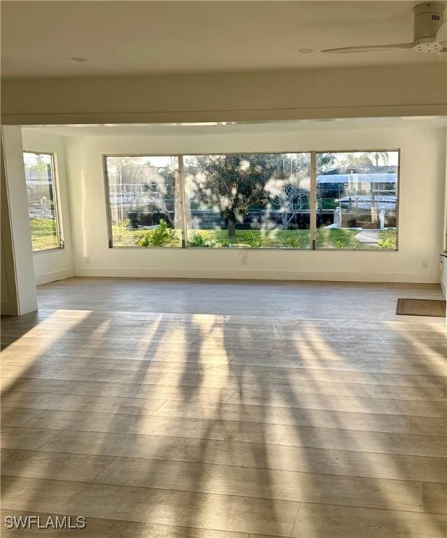 unfurnished room featuring wood-type flooring and ceiling fan