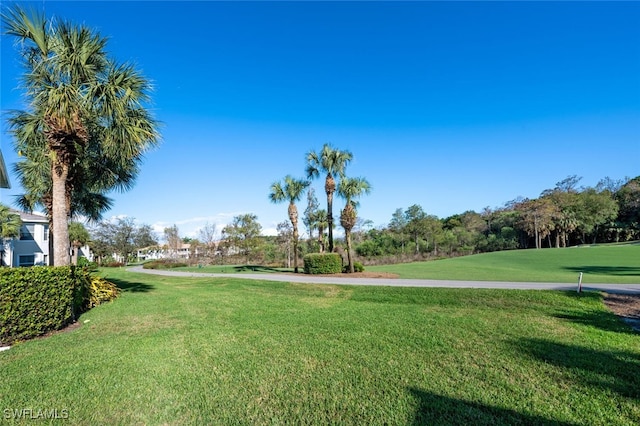 view of community featuring a lawn