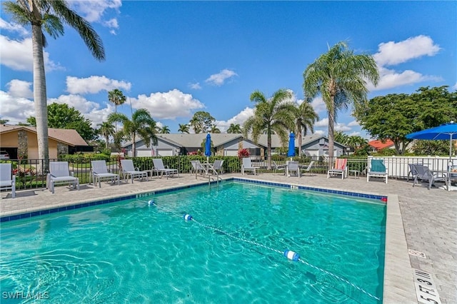 view of pool featuring a patio