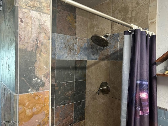 interior details featuring walk in shower