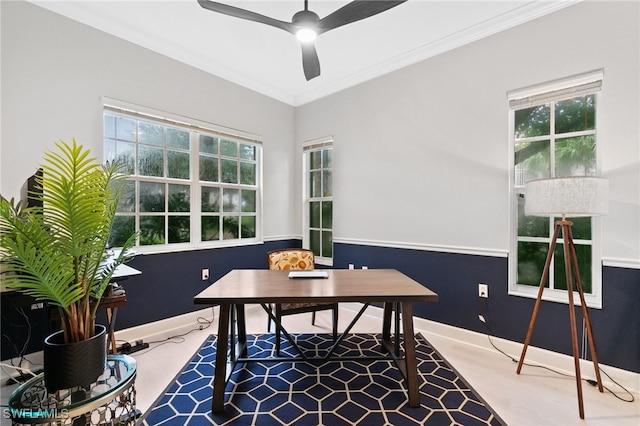 office space featuring hardwood / wood-style flooring, crown molding, and ceiling fan