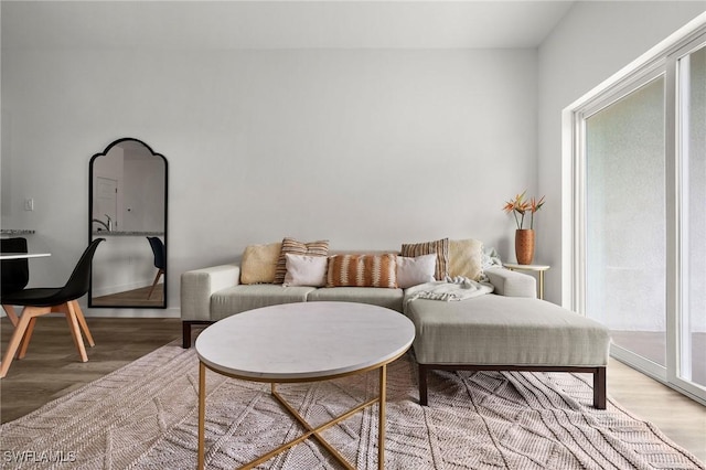 living room featuring hardwood / wood-style flooring and a healthy amount of sunlight