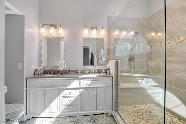 bathroom with an enclosed shower, vanity, and toilet