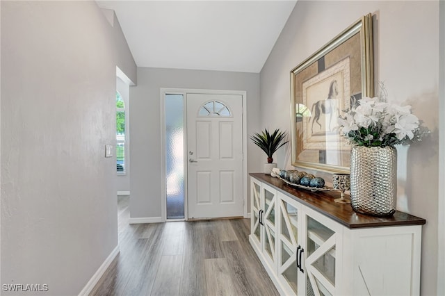 foyer entrance with lofted ceiling and wood-type flooring