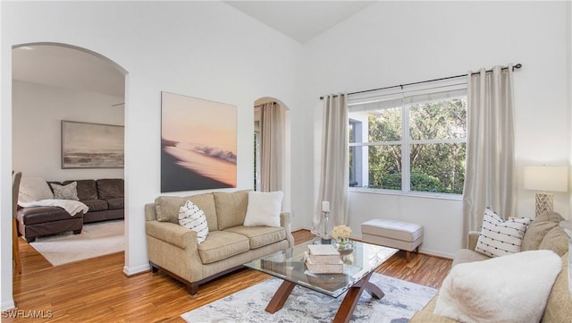 living room featuring high vaulted ceiling and light hardwood / wood-style flooring