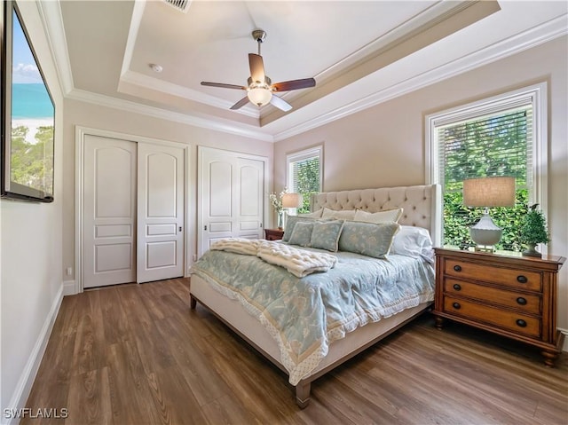 bedroom with ornamental molding, a tray ceiling, dark hardwood / wood-style flooring, two closets, and ceiling fan