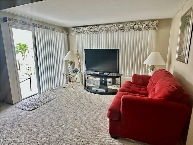 view of carpeted living area