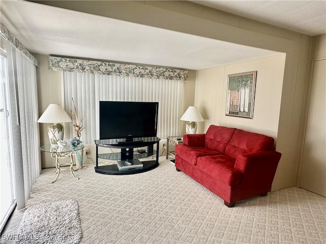 living area featuring carpet floors