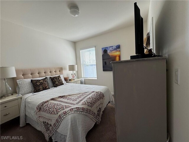 bedroom featuring dark colored carpet