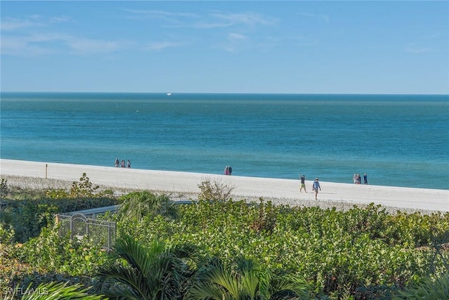 view of water feature with a view of the beach