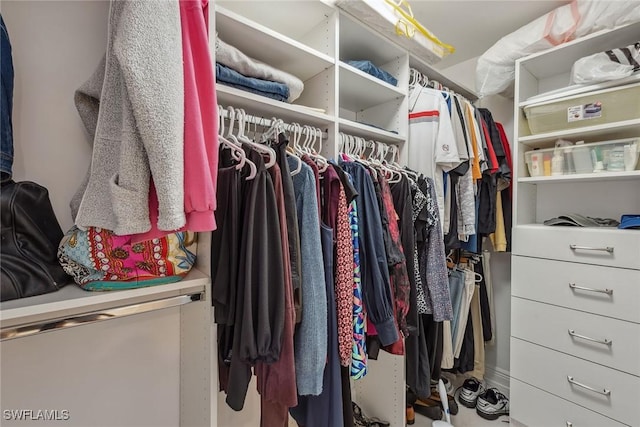 view of spacious closet