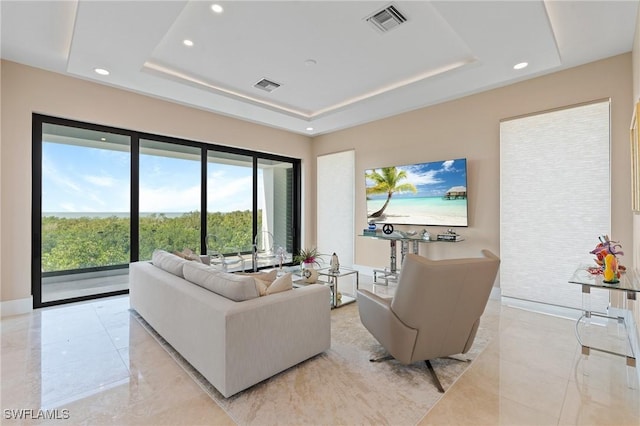 living room with a raised ceiling