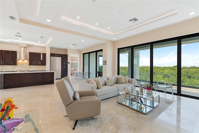 living room featuring a raised ceiling and sink