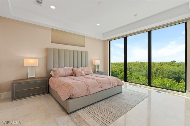 bedroom featuring a raised ceiling