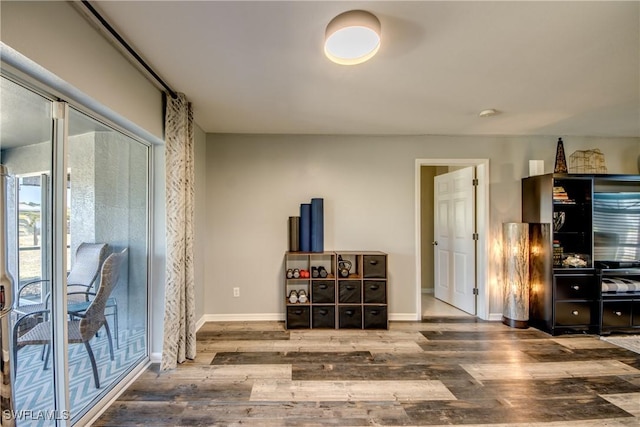 interior space featuring hardwood / wood-style floors