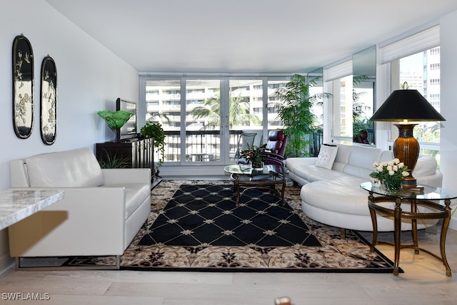 living room with a wealth of natural light