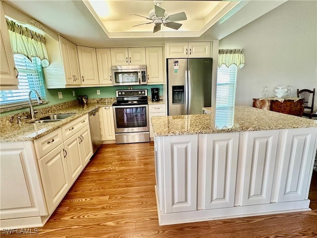 kitchen featuring light wood-style flooring, a sink, appliances with stainless steel finishes, a center island, and a raised ceiling