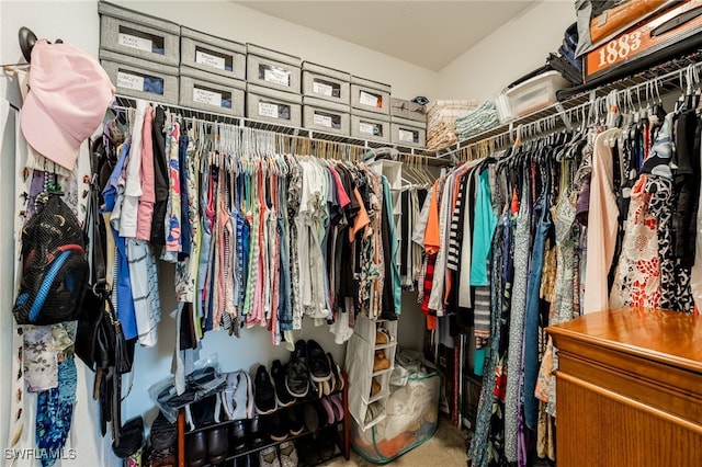 view of walk in closet