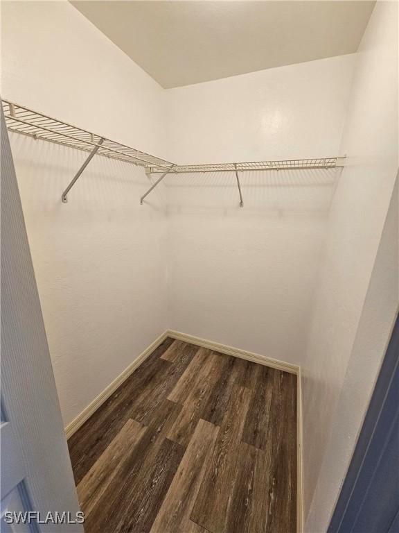 spacious closet with dark wood-type flooring