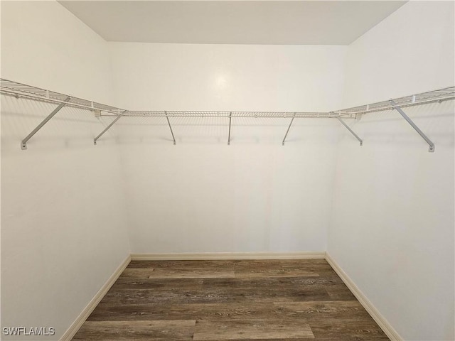 spacious closet with dark hardwood / wood-style flooring