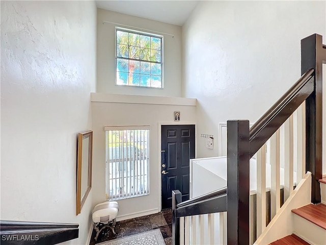 entrance foyer with a towering ceiling and a wealth of natural light