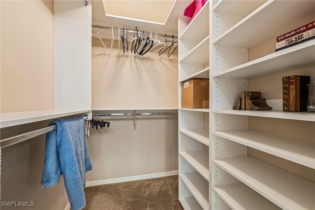 walk in closet with carpet