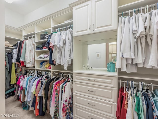 28732 La Caille Dr, Naples, FL 34119 - spacious closet featuring carpet