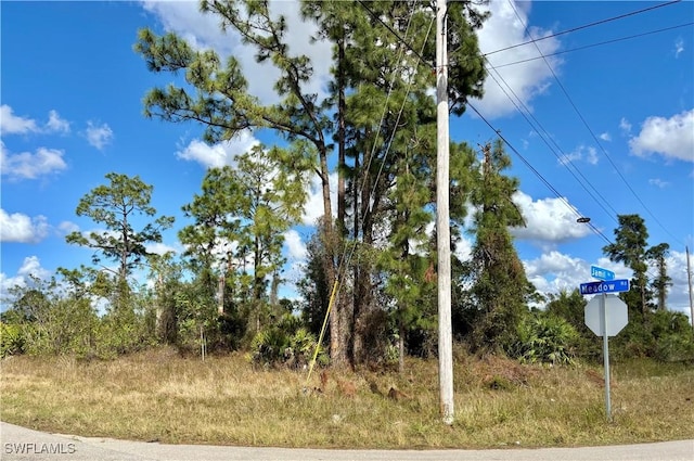 3057 Meadow Rd, Lehigh Acres FL, 33974 land for sale