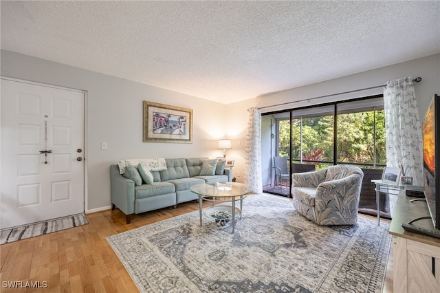 living room with wood-type flooring and a textured ceiling