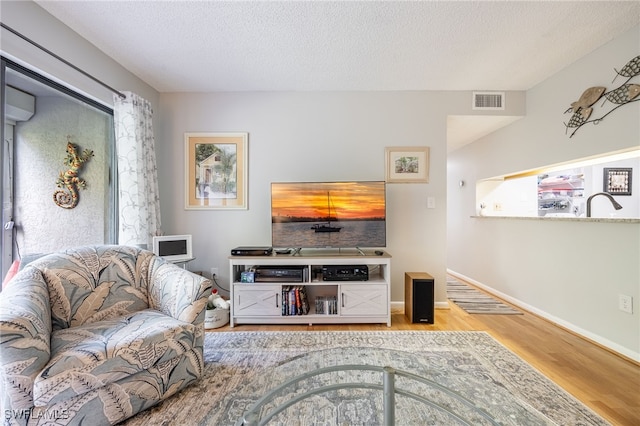 living room featuring hardwood / wood-style floors and a textured ceiling