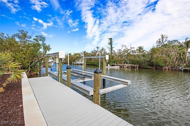 dock area with a water view