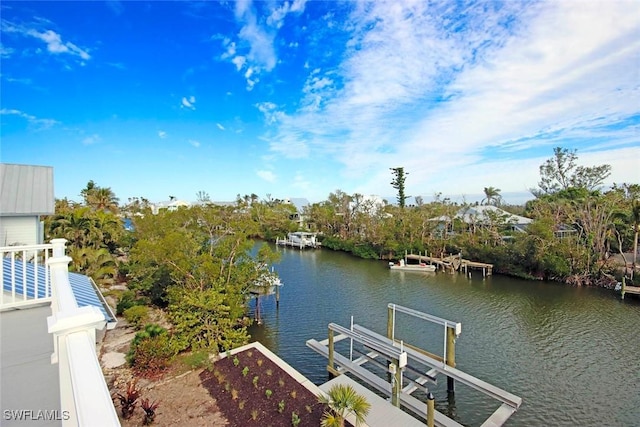 dock area with a water view