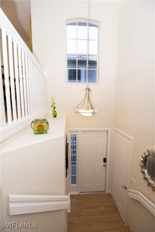 foyer entrance with a towering ceiling and hardwood / wood-style floors