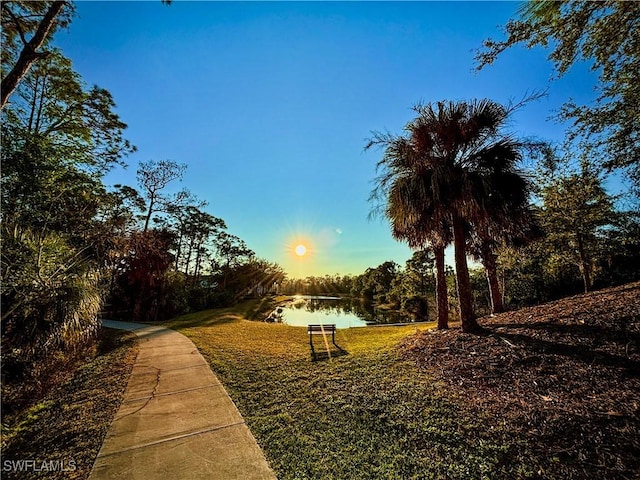 view of community with a water view