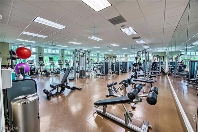 exercise room with ceiling fan, visible vents, and a drop ceiling