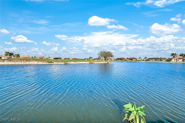 property view of water