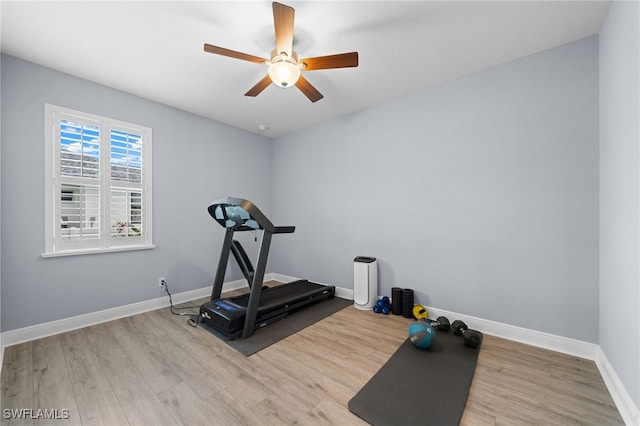 142 SW 35th Ave, Cape Coral, FL 33991 - exercise area featuring ceiling fan and light hardwood / wood-style flooring
