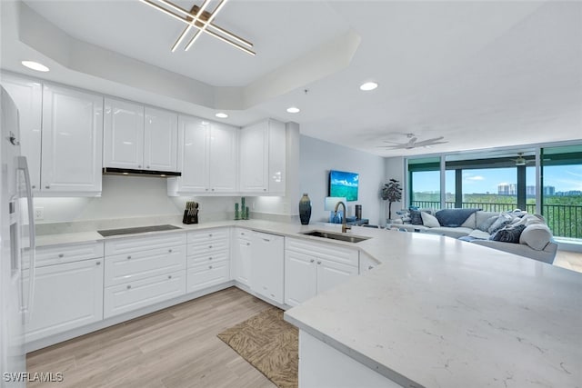 kitchen with sink, white cabinetry, white dishwasher, light hardwood / wood-style floors, and black electric cooktop