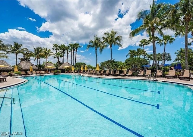 view of swimming pool