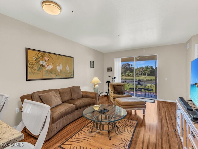 living room with hardwood / wood-style flooring