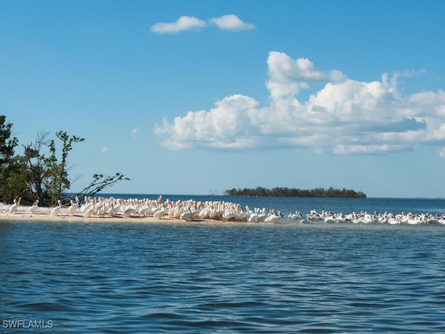 property view of water with a beach view