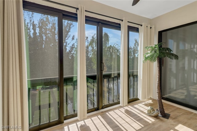 doorway featuring light hardwood / wood-style flooring