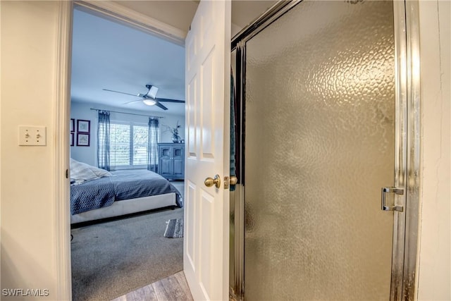 interior space featuring carpet and ceiling fan