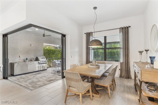 dining room with light hardwood / wood-style flooring