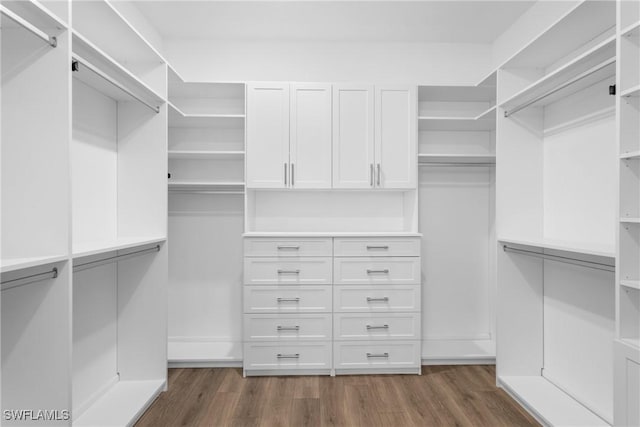 spacious closet with dark wood-type flooring