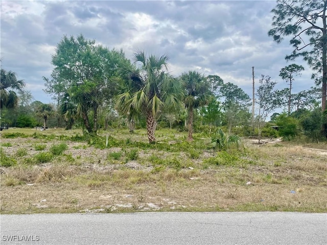 614 Grant Ave, Lehigh Acres FL, 33972 land for sale