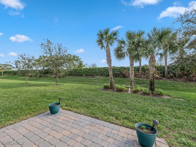 17183 Ashford Ter, Fort Myers, FL 33967 - view of yard featuring a patio area