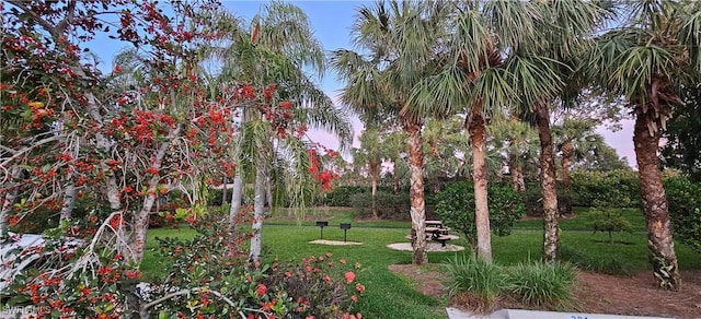 23861 Costa Del Sol Rd Unit 203, Estero, FL 34135 - view of green lawn