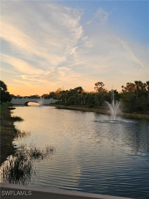 23861 Costa Del Sol Rd Unit 203, Estero, FL 34135 - water view