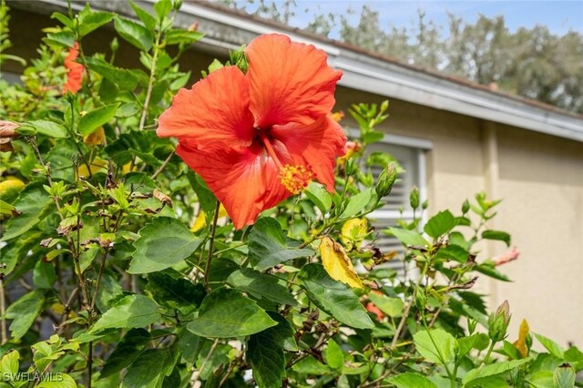 2291 Granby Dr, Lehigh Acres, FL 33973 - details featuring stucco siding